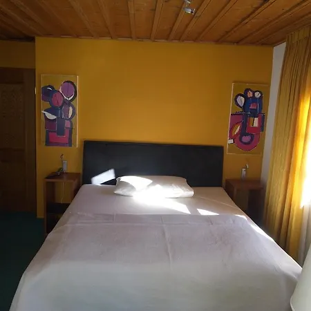 Chalet-hotel Larix 3* Davos