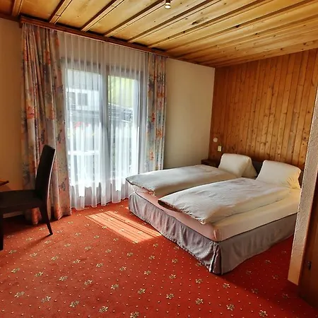 Chalet-hotel Larix 3* دافوس
