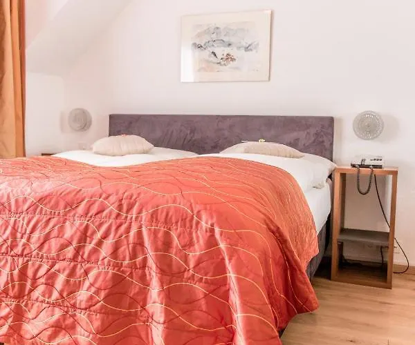 Chalet-hotel Larix 酒店 达沃斯