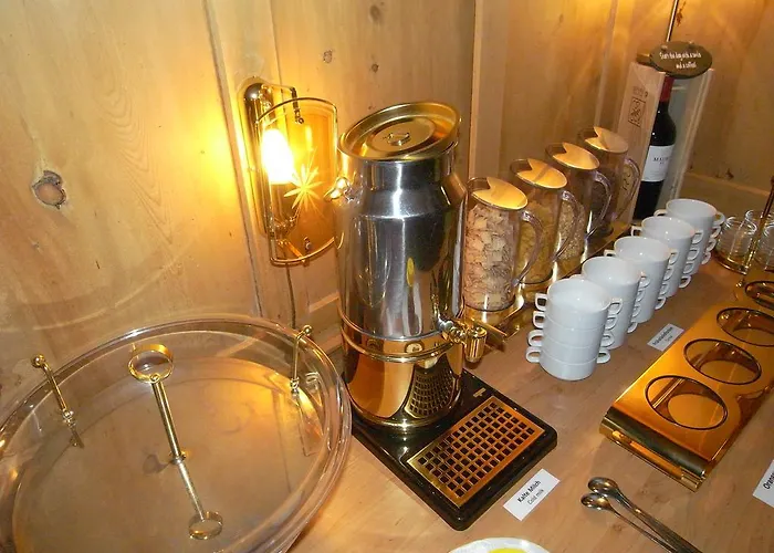 酒店 Chalet-hotel Larix