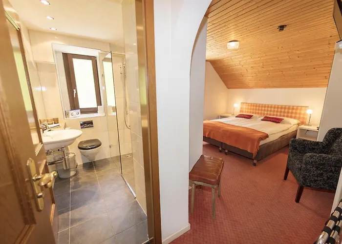 Chalet-hotel Larix 3* 达沃斯