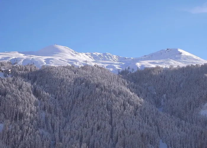 Chalet-hotel Larix 酒店 达沃斯