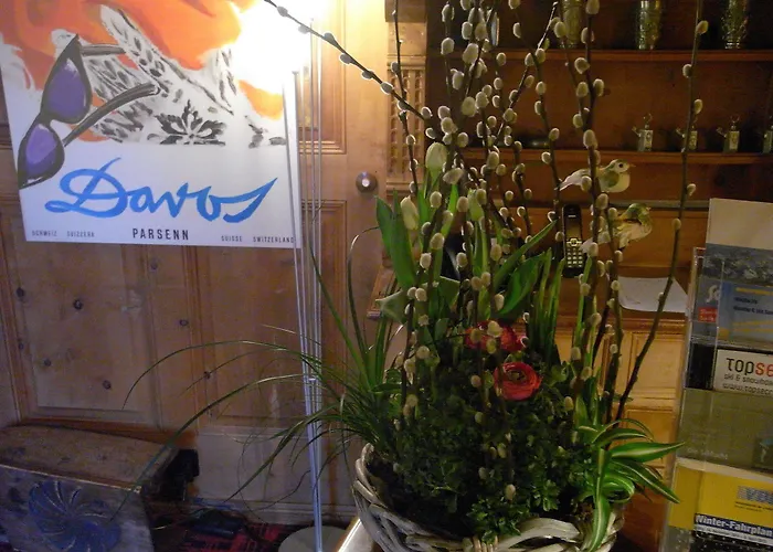 Chalet-hotel Larix 酒店 达沃斯