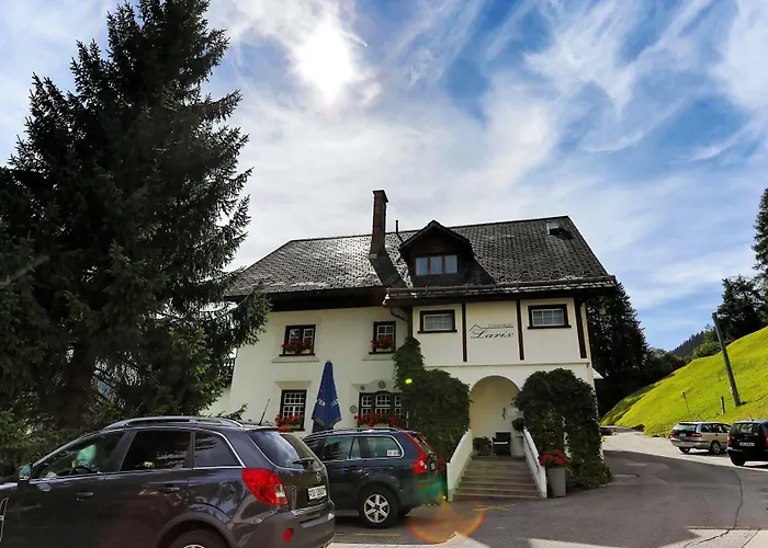 酒店 Chalet-hotel Larix