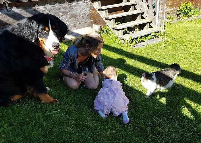 Chalet-hotel Larix מלון